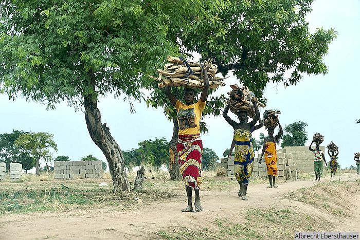 Bild "Home:wgt26.jpg"